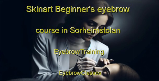 Skinart Beginner's eyebrow course in Sorheimstolan | EyebrowTraining | EyebrowClasses | SkinartTraining-Norway