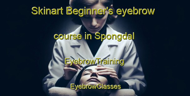 Skinart Beginner's eyebrow course in Spongdal | EyebrowTraining | EyebrowClasses | SkinartTraining-Norway