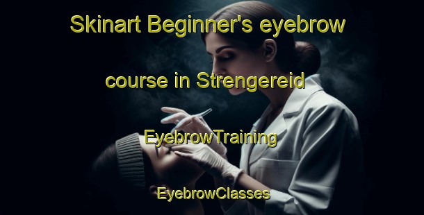 Skinart Beginner's eyebrow course in Strengereid | EyebrowTraining | EyebrowClasses | SkinartTraining-Norway