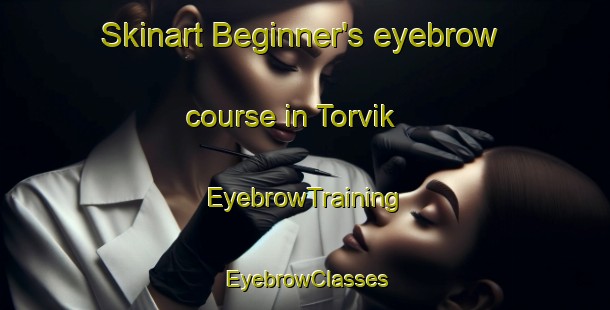 Skinart Beginner's eyebrow course in Torvik | EyebrowTraining | EyebrowClasses | SkinartTraining-Norway