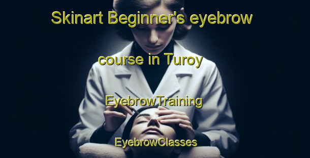 Skinart Beginner's eyebrow course in Turoy | EyebrowTraining | EyebrowClasses | SkinartTraining-Norway