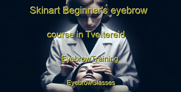 Skinart Beginner's eyebrow course in Tveitereid | EyebrowTraining | EyebrowClasses | SkinartTraining-Norway