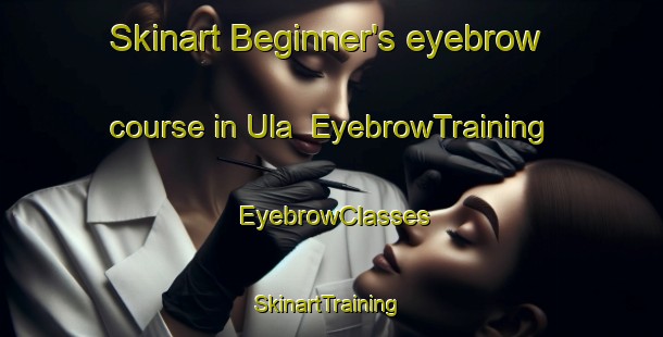 Skinart Beginner's eyebrow course in Ula | EyebrowTraining | EyebrowClasses | SkinartTraining-Norway
