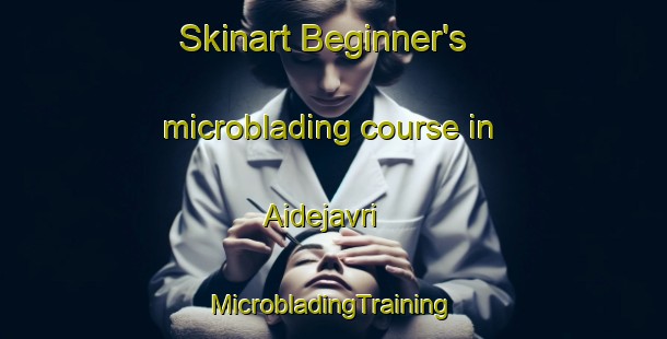 Skinart Beginner's microblading course in Aidejavri | #MicrobladingTraining #MicrobladingClasses #SkinartTraining-Norway