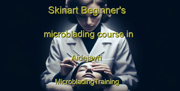 Skinart Beginner's microblading course in Aidejavri | MicrobladingTraining | MicrobladingClasses | SkinartTraining-Norway