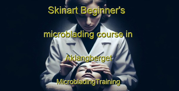 Skinart Beginner's microblading course in Aklangberget | #MicrobladingTraining #MicrobladingClasses #SkinartTraining-Norway