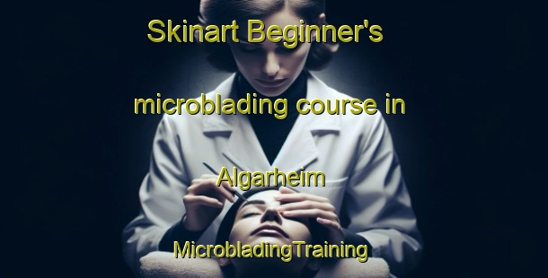 Skinart Beginner's microblading course in Algarheim | #MicrobladingTraining #MicrobladingClasses #SkinartTraining-Norway