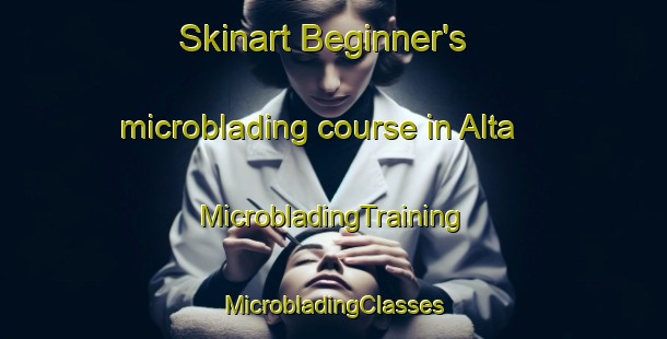 Skinart Beginner's microblading course in Alta | #MicrobladingTraining #MicrobladingClasses #SkinartTraining-Norway