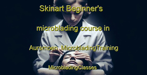 Skinart Beginner's microblading course in Aursmoen | MicrobladingTraining | MicrobladingClasses | SkinartTraining-Norway