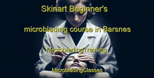 Skinart Beginner's microblading course in Barsnes | #MicrobladingTraining #MicrobladingClasses #SkinartTraining-Norway