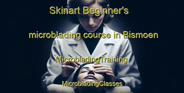 Skinart Beginner's microblading course in Bismoen | #MicrobladingTraining #MicrobladingClasses #SkinartTraining-Norway