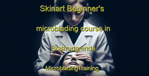 Skinart Beginner's microblading course in Brattrudgrenda | MicrobladingTraining | MicrobladingClasses | SkinartTraining-Norway