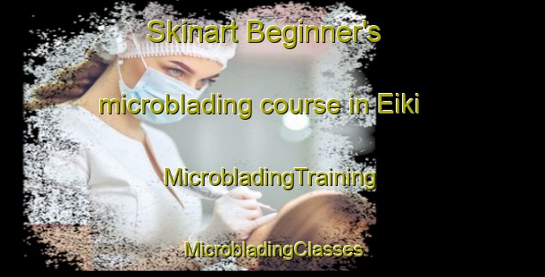 Skinart Beginner's microblading course in Eiki | #MicrobladingTraining #MicrobladingClasses #SkinartTraining-Norway