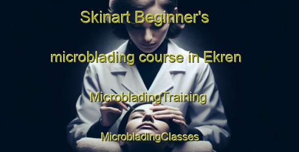 Skinart Beginner's microblading course in Ekren | #MicrobladingTraining #MicrobladingClasses #SkinartTraining-Norway