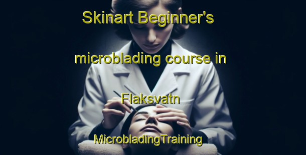 Skinart Beginner's microblading course in Flaksvatn | MicrobladingTraining | MicrobladingClasses | SkinartTraining-Norway
