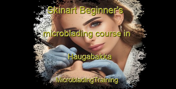 Skinart Beginner's microblading course in Haugabakka | #MicrobladingTraining #MicrobladingClasses #SkinartTraining-Norway