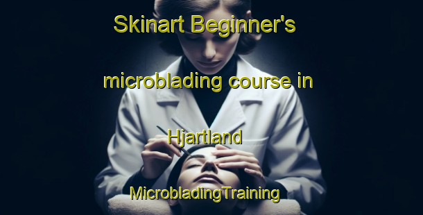Skinart Beginner's microblading course in Hjartland | MicrobladingTraining | MicrobladingClasses | SkinartTraining-Norway