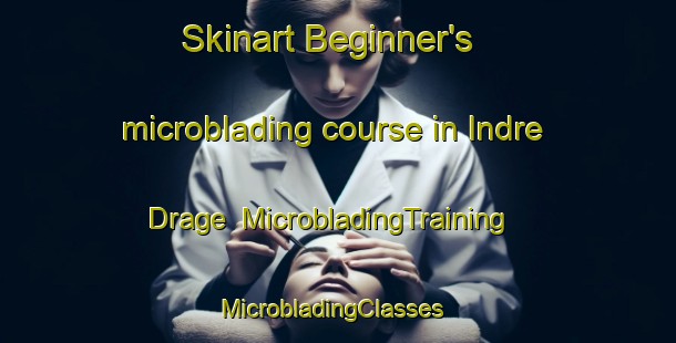 Skinart Beginner's microblading course in Indre Drage | MicrobladingTraining | MicrobladingClasses | SkinartTraining-Norway