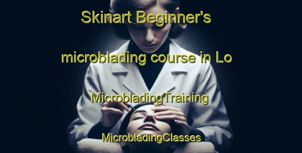 Skinart Beginner's microblading course in Lo | #MicrobladingTraining #MicrobladingClasses #SkinartTraining-Norway