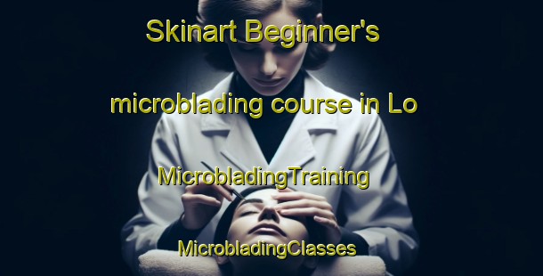 Skinart Beginner's microblading course in Lo | MicrobladingTraining | MicrobladingClasses | SkinartTraining-Norway
