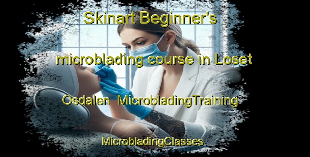 Skinart Beginner's microblading course in Loset Osdalen | MicrobladingTraining | MicrobladingClasses | SkinartTraining-Norway