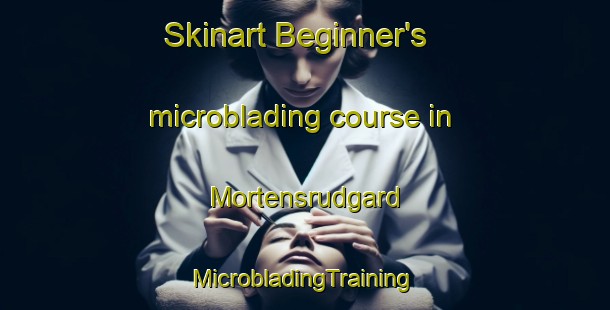 Skinart Beginner's microblading course in Mortensrudgard | #MicrobladingTraining #MicrobladingClasses #SkinartTraining-Norway