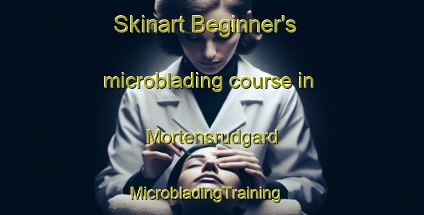 Skinart Beginner's microblading course in Mortensrudgard | MicrobladingTraining | MicrobladingClasses | SkinartTraining-Norway