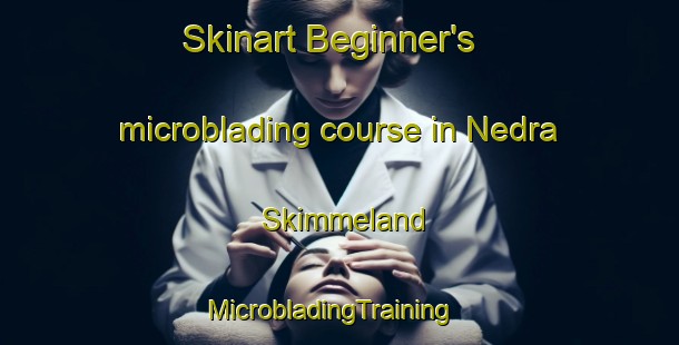 Skinart Beginner's microblading course in Nedra Skimmeland | MicrobladingTraining | MicrobladingClasses | SkinartTraining-Norway