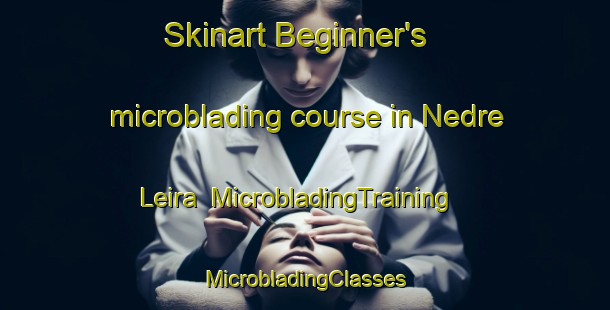 Skinart Beginner's microblading course in Nedre Leira | #MicrobladingTraining #MicrobladingClasses #SkinartTraining-Norway