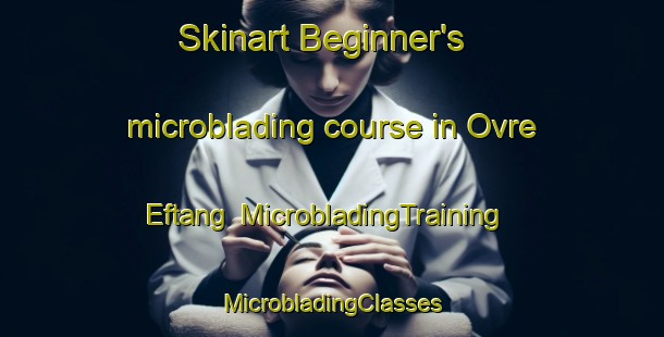 Skinart Beginner's microblading course in Ovre Eftang | #MicrobladingTraining #MicrobladingClasses #SkinartTraining-Norway