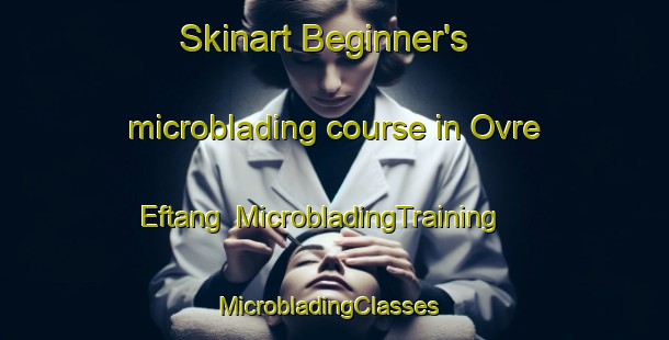 Skinart Beginner's microblading course in Ovre Eftang | MicrobladingTraining | MicrobladingClasses | SkinartTraining-Norway