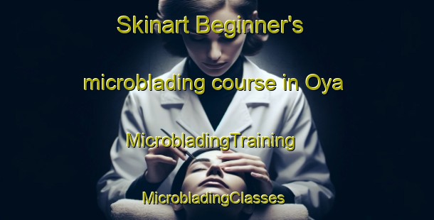 Skinart Beginner's microblading course in Oya | MicrobladingTraining | MicrobladingClasses | SkinartTraining-Norway