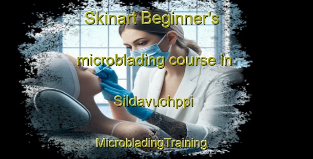 Skinart Beginner's microblading course in Sildavuohppi | MicrobladingTraining | MicrobladingClasses | SkinartTraining-Norway