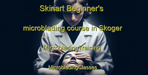 Skinart Beginner's microblading course in Skoger | MicrobladingTraining | MicrobladingClasses | SkinartTraining-Norway