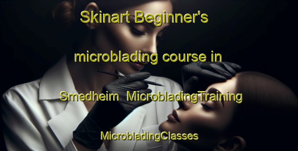 Skinart Beginner's microblading course in Smedheim | #MicrobladingTraining #MicrobladingClasses #SkinartTraining-Norway