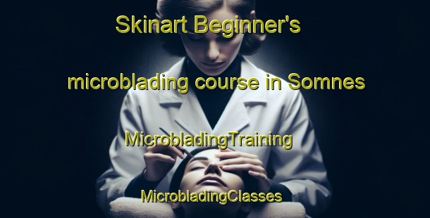 Skinart Beginner's microblading course in Somnes | MicrobladingTraining | MicrobladingClasses | SkinartTraining-Norway