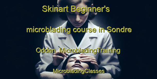 Skinart Beginner's microblading course in Sondre Odden | #MicrobladingTraining #MicrobladingClasses #SkinartTraining-Norway