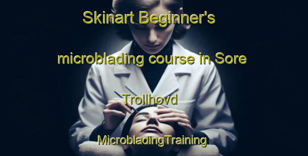 Skinart Beginner's microblading course in Sore Trollhovd | #MicrobladingTraining #MicrobladingClasses #SkinartTraining-Norway