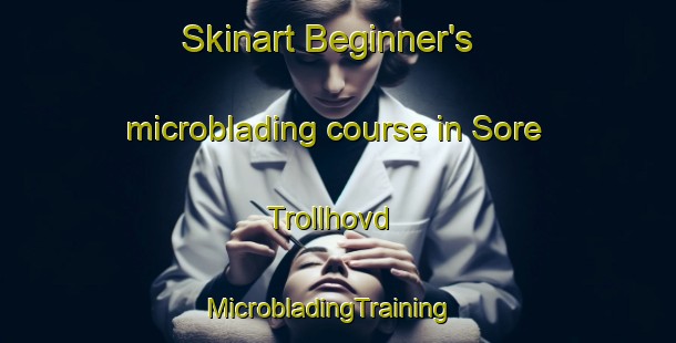 Skinart Beginner's microblading course in Sore Trollhovd | MicrobladingTraining | MicrobladingClasses | SkinartTraining-Norway