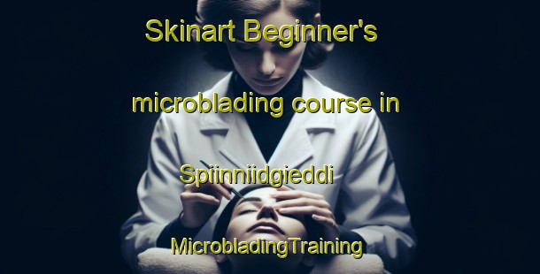 Skinart Beginner's microblading course in Spiinniidgieddi | #MicrobladingTraining #MicrobladingClasses #SkinartTraining-Norway