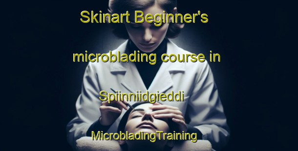 Skinart Beginner's microblading course in Spiinniidgieddi | MicrobladingTraining | MicrobladingClasses | SkinartTraining-Norway