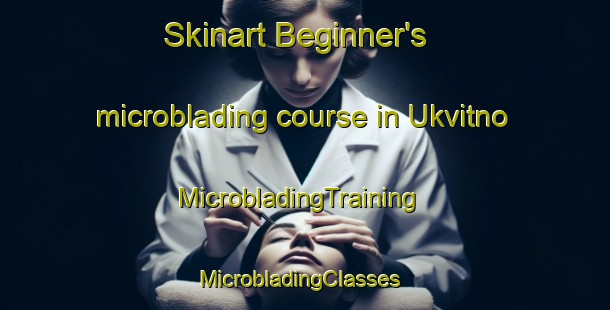 Skinart Beginner's microblading course in Ukvitno | MicrobladingTraining | MicrobladingClasses | SkinartTraining-Norway