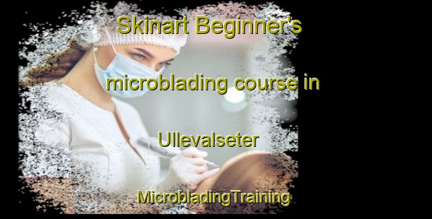 Skinart Beginner's microblading course in Ullevalseter | #MicrobladingTraining #MicrobladingClasses #SkinartTraining-Norway