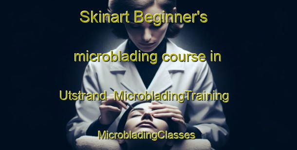 Skinart Beginner's microblading course in Utstrand | MicrobladingTraining | MicrobladingClasses | SkinartTraining-Norway