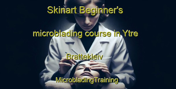 Skinart Beginner's microblading course in Ytre Brattekleiv | #MicrobladingTraining #MicrobladingClasses #SkinartTraining-Norway