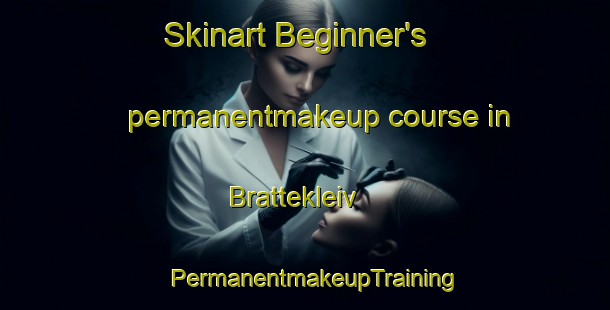 Skinart Beginner's permanentmakeup course in Brattekleiv | PermanentmakeupTraining | PermanentmakeupClasses | SkinartTraining-Norway