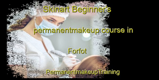 Skinart Beginner's permanentmakeup course in Forfot | #PermanentmakeupTraining #PermanentmakeupClasses #SkinartTraining-Norway