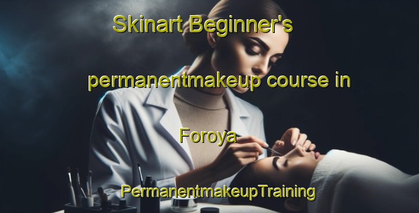 Skinart Beginner's permanentmakeup course in Foroya | #PermanentmakeupTraining #PermanentmakeupClasses #SkinartTraining-Norway