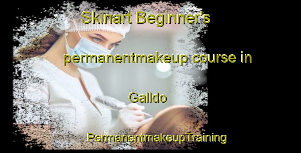 Skinart Beginner's permanentmakeup course in Galldo | #PermanentmakeupTraining #PermanentmakeupClasses #SkinartTraining-Norway