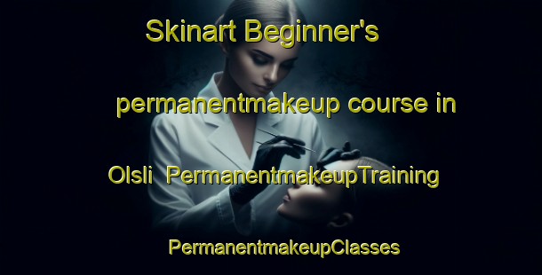 Skinart Beginner's permanentmakeup course in Olsli | #PermanentmakeupTraining #PermanentmakeupClasses #SkinartTraining-Norway